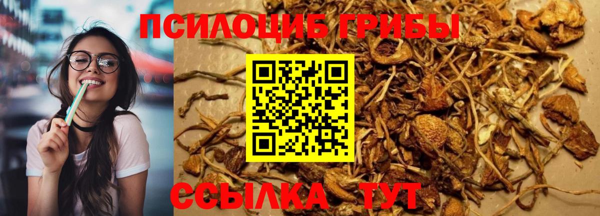 Псилоцибиновые грибы мицелий Заречный
