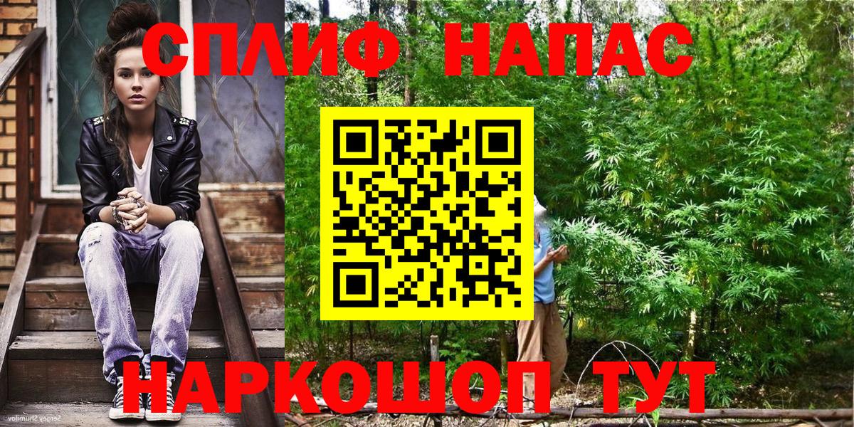 Каннабис конопля Заречный